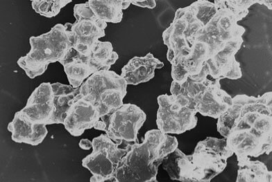 sem-di-attivo-phytobilayer-lb3-100x sem-di-attivo-phytobilayer-lb3-100x