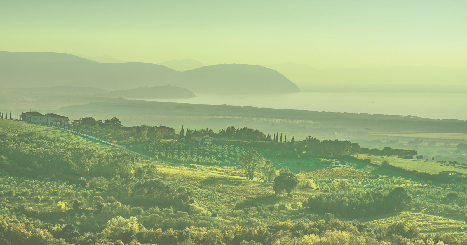 Immagine raffigurante la campagna toscana