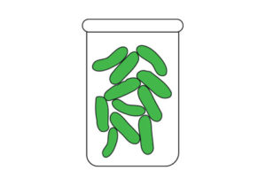 Icona estratti fermentati