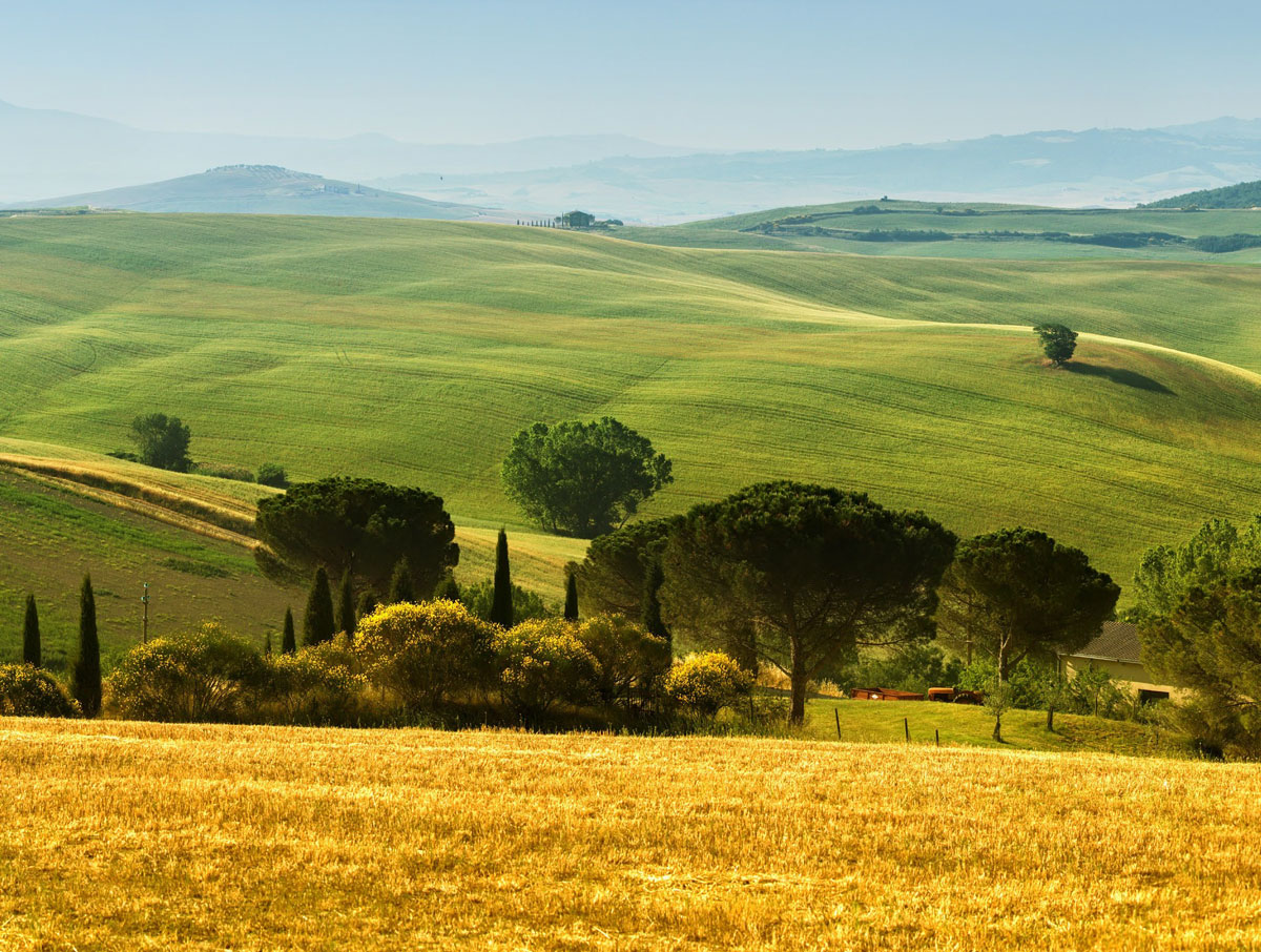 Immagine di un paesaggio rurale
