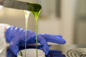 gelatina softgel bovina vegetale e di pesce